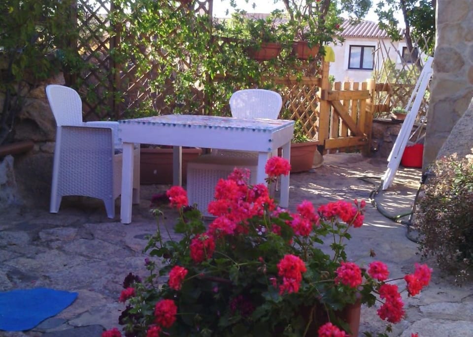 Garden, Balcony/Terrace