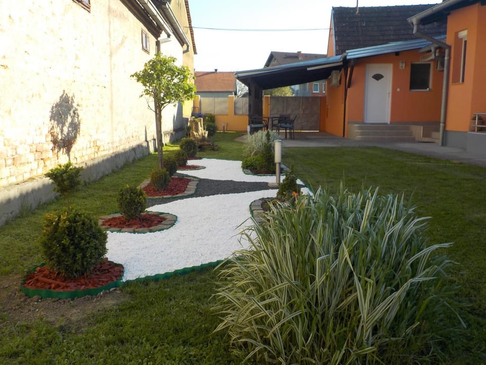 Natural landscape, Garden, Garden view, Inner courtyard view