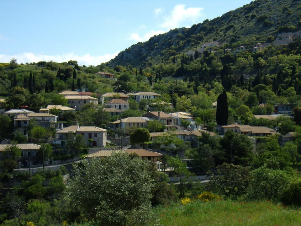 Area and facilities