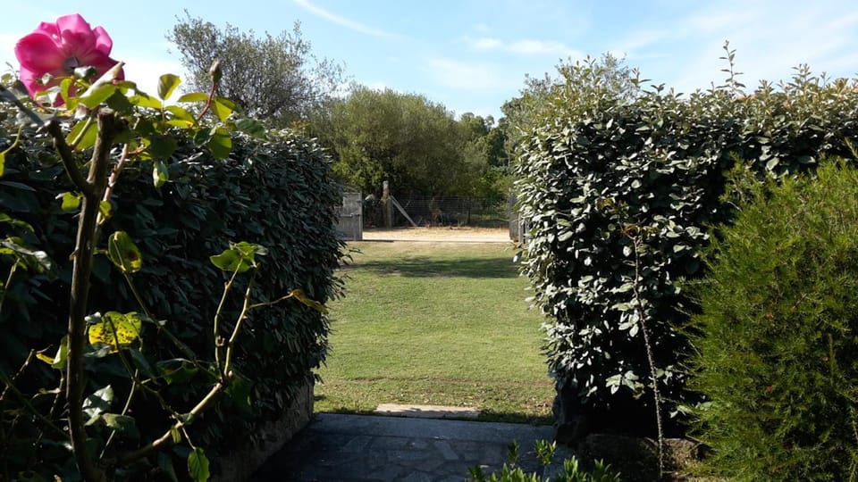 Garden, Floor plan