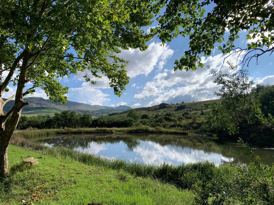 Lake view