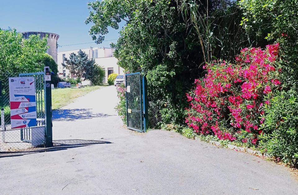 Garden, Street view