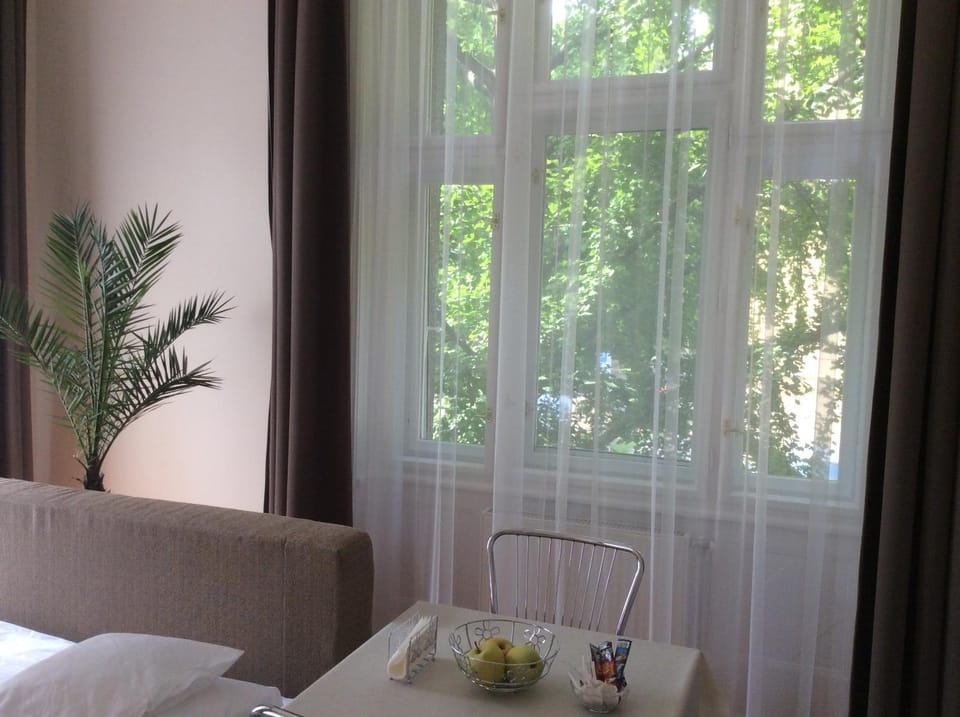 View (from property/room)