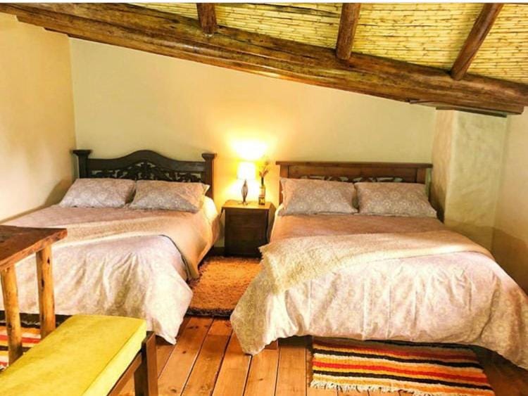 bunk bed