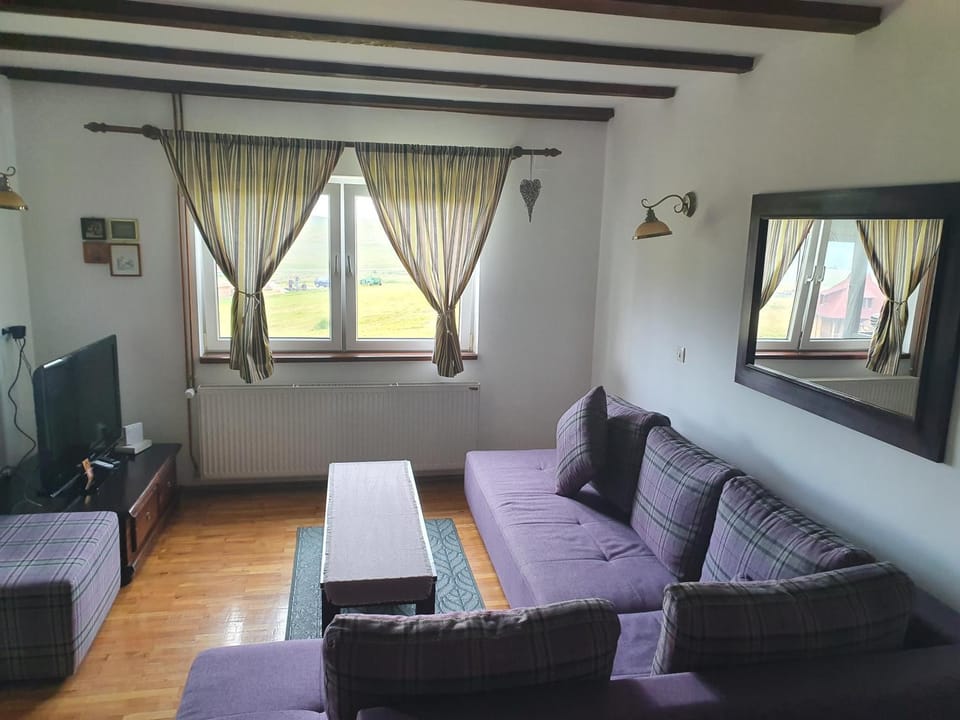 Vila Jela Tornik House in Zlatibor