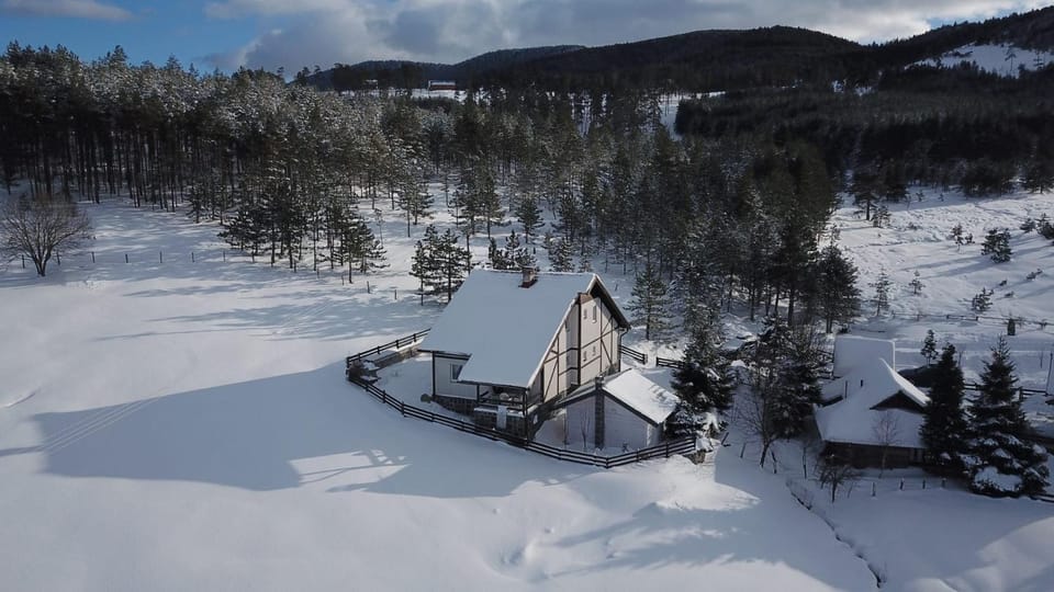 Vila Jela Tornik House in Zlatibor