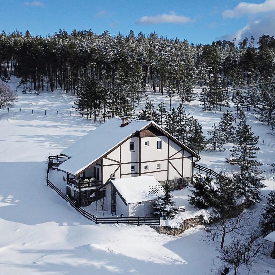 Vila Jela Tornik House in Zlatibor