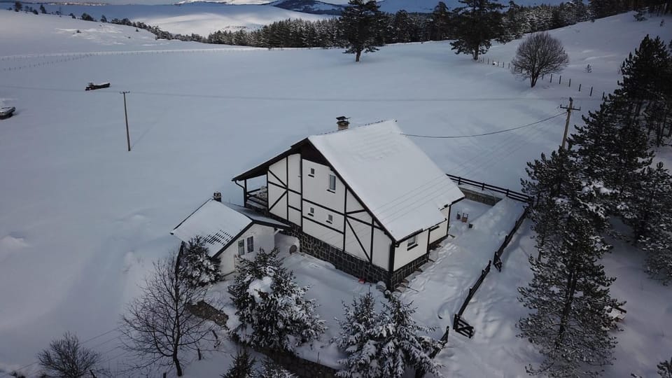 Vila Jela Tornik House in Zlatibor