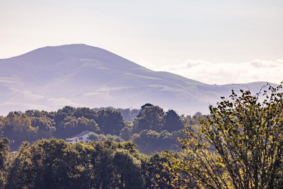 Mountain view