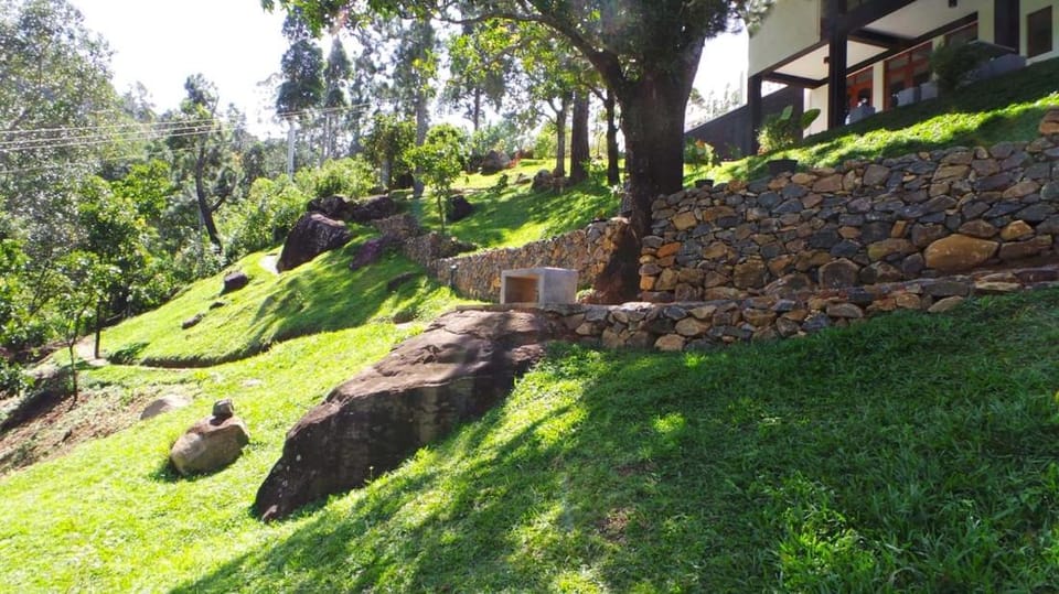 Natural landscape, Garden view