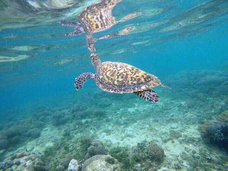 Fishing, Snorkeling, Diving, On site