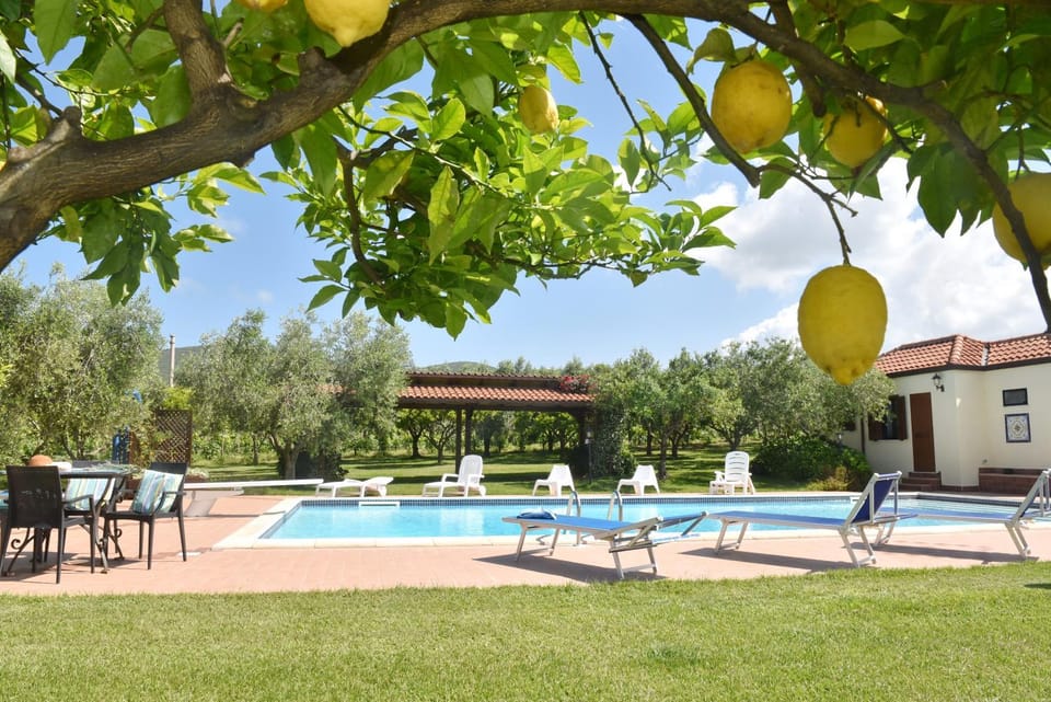 Garden, Solarium, Garden view, Pool view, Swimming pool