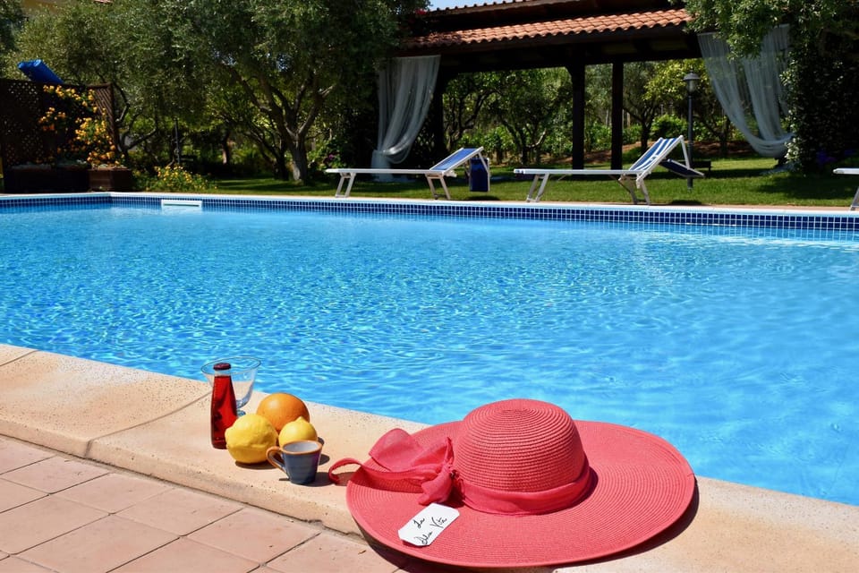 Garden, Garden view, Pool view, Swimming pool