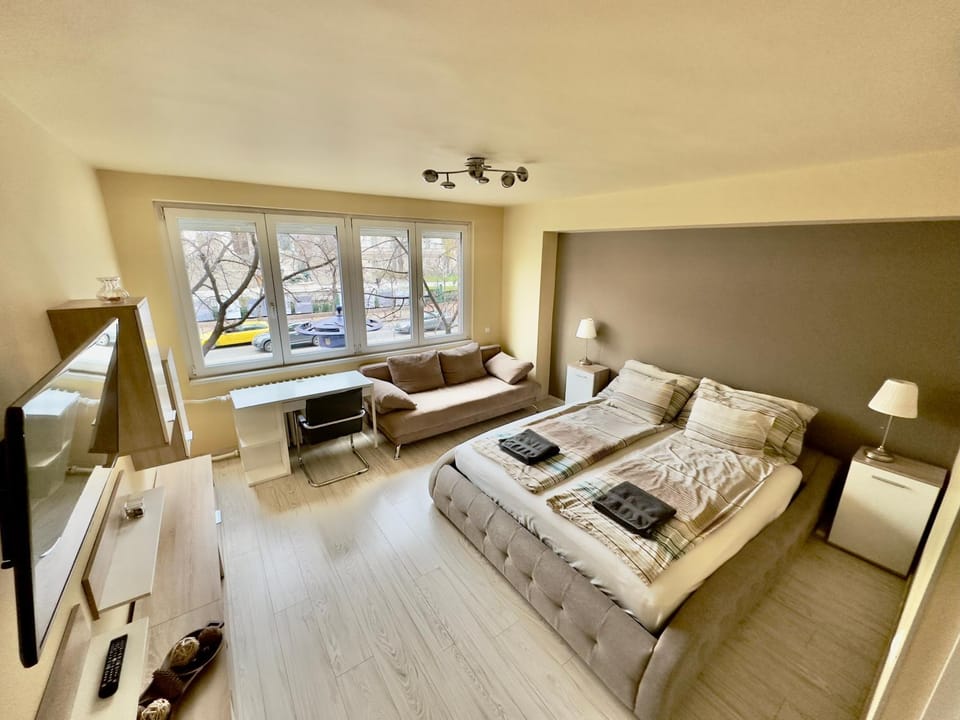 Bed, TV and multimedia, Photo of the whole room