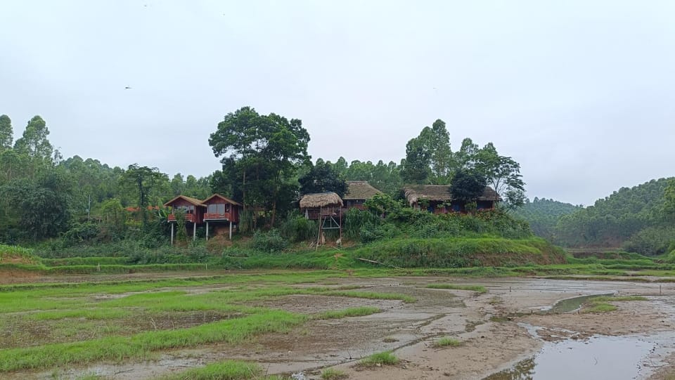 Property building, Natural landscape