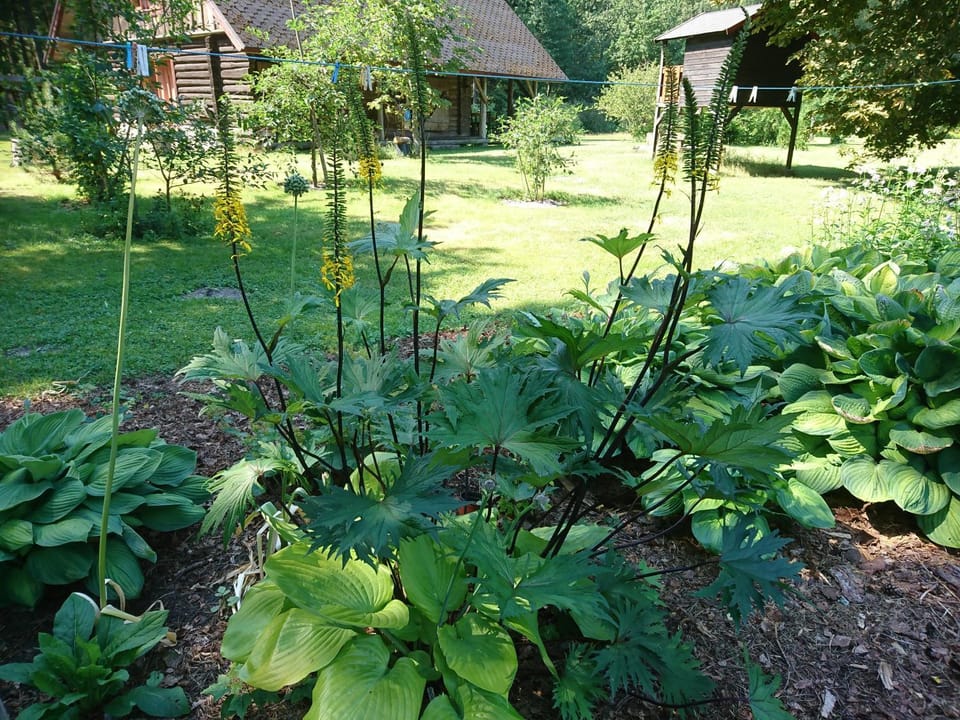 Garden, Garden view