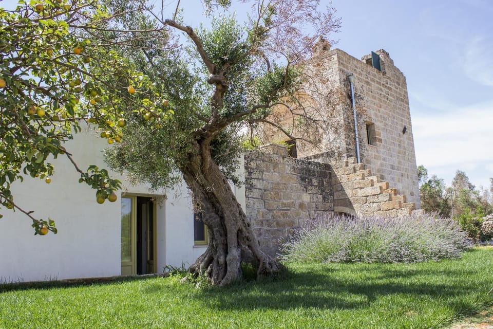 Property building, Garden, Garden view