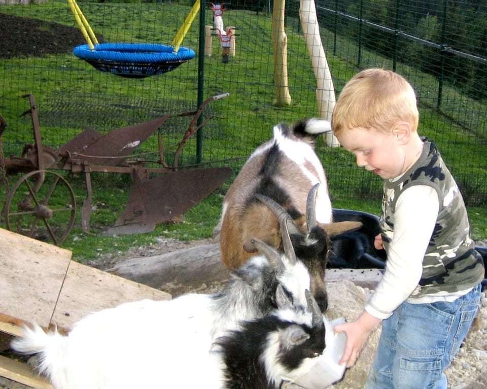 Animals, young children