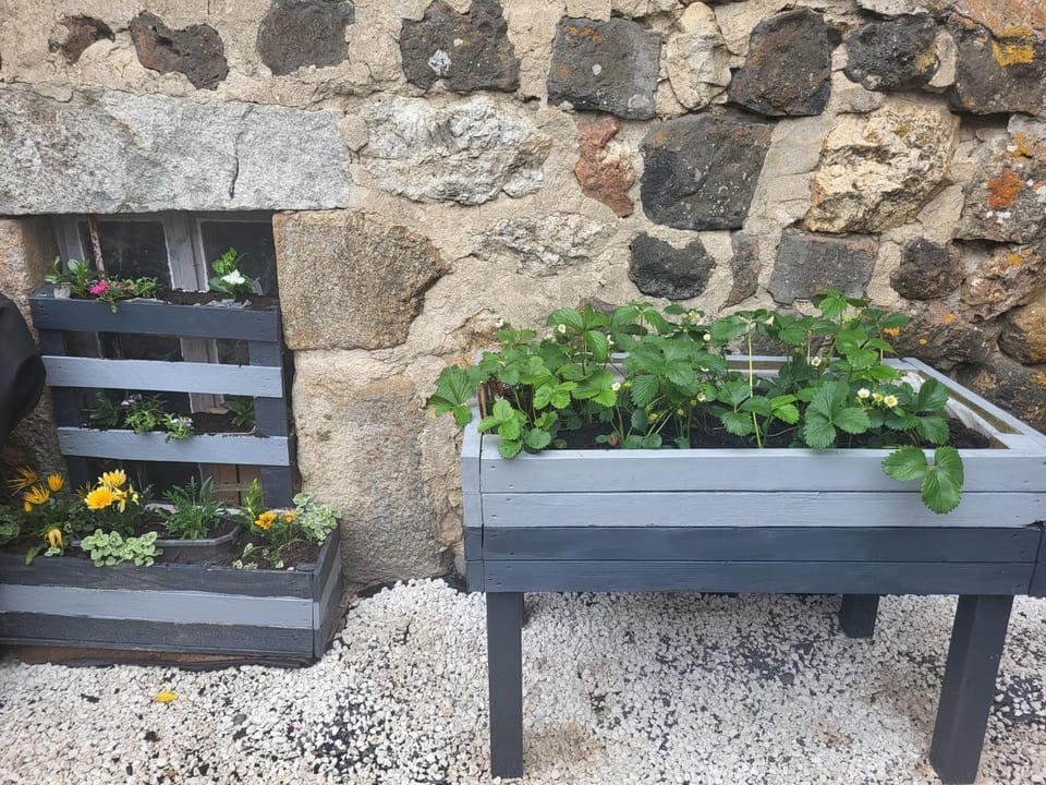 Maison d´hôtes La Dromandise Bed and Breakfast in Auvergne-Rhône-Alpes