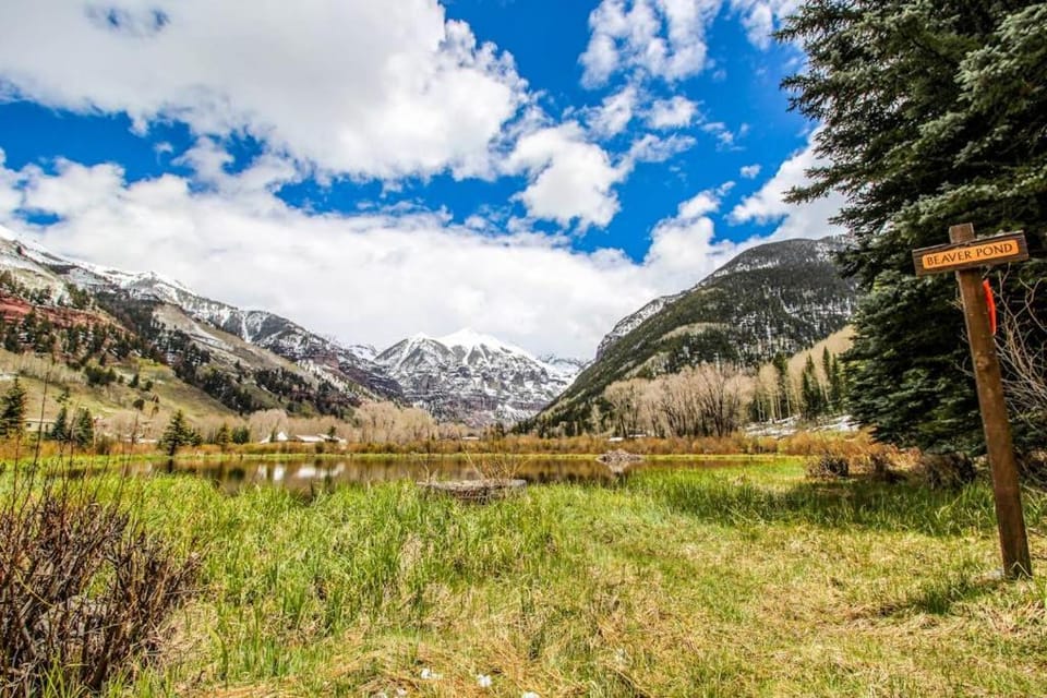 Rocky Mountain Lookout Apartment in Telluride