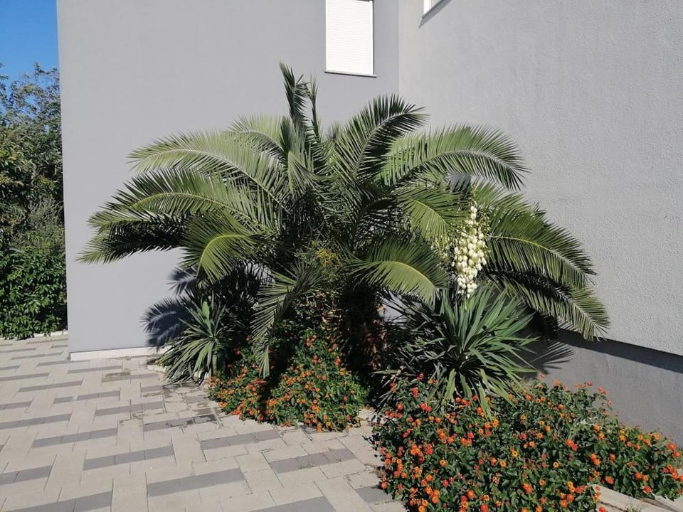 Property building, Garden view