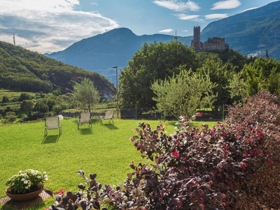 Summer, Garden, Garden view, Landmark view