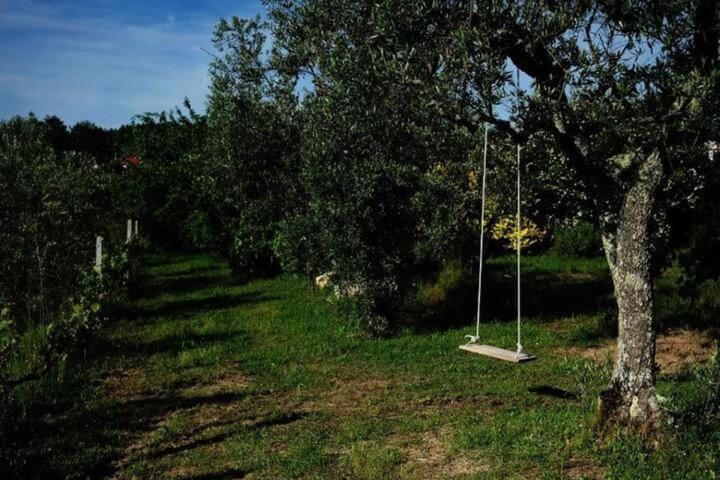 Quinta de Vodra Farm Stay in Portugal