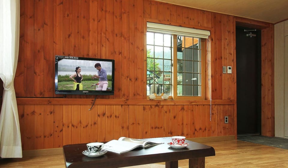 TV and multimedia