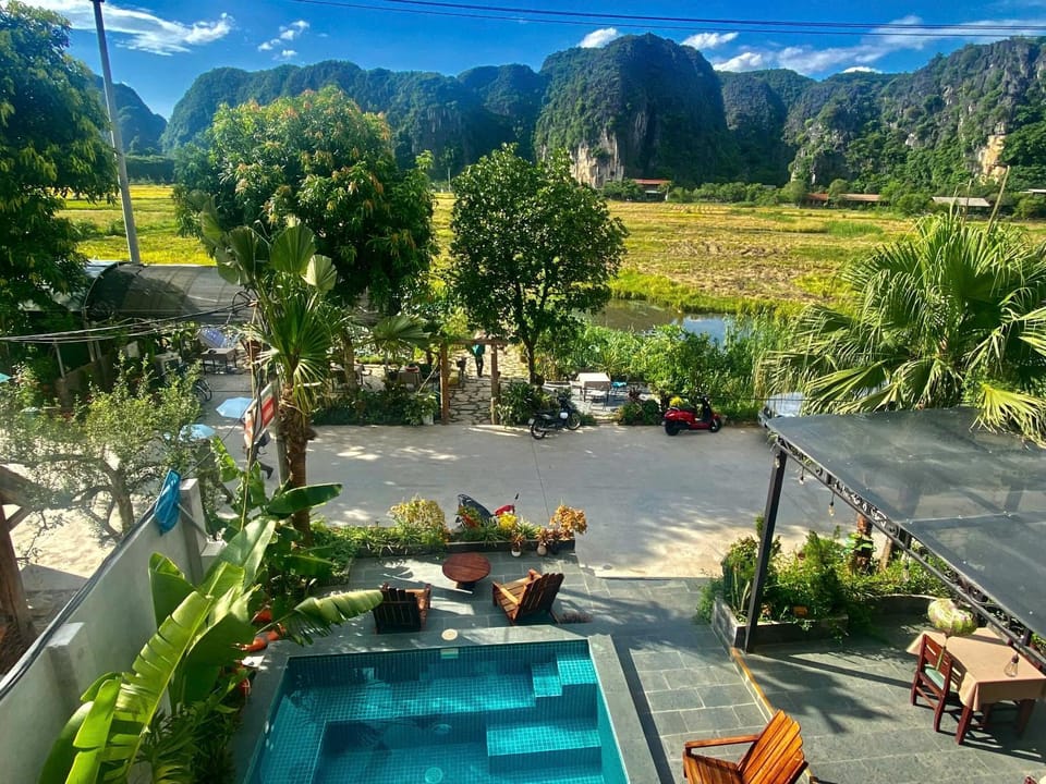 Day, Garden, Mountain view, sunbed