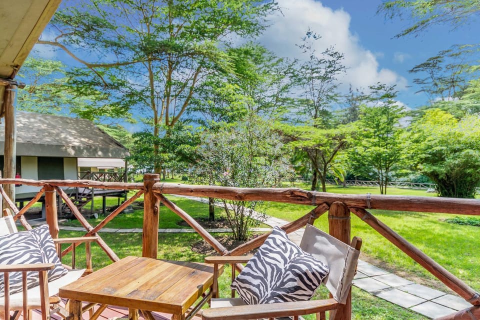 Balcony/Terrace, Garden view