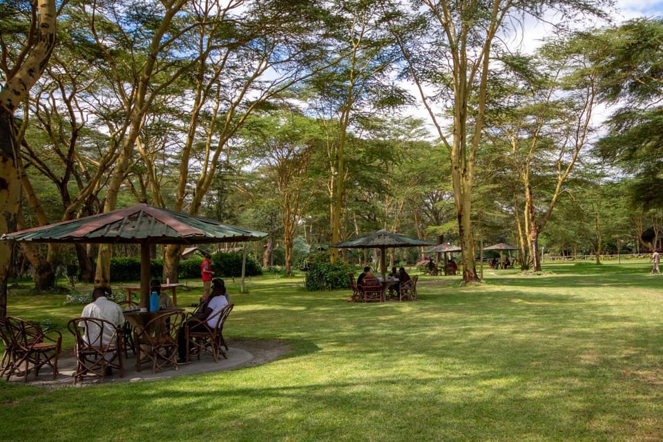 People, Garden