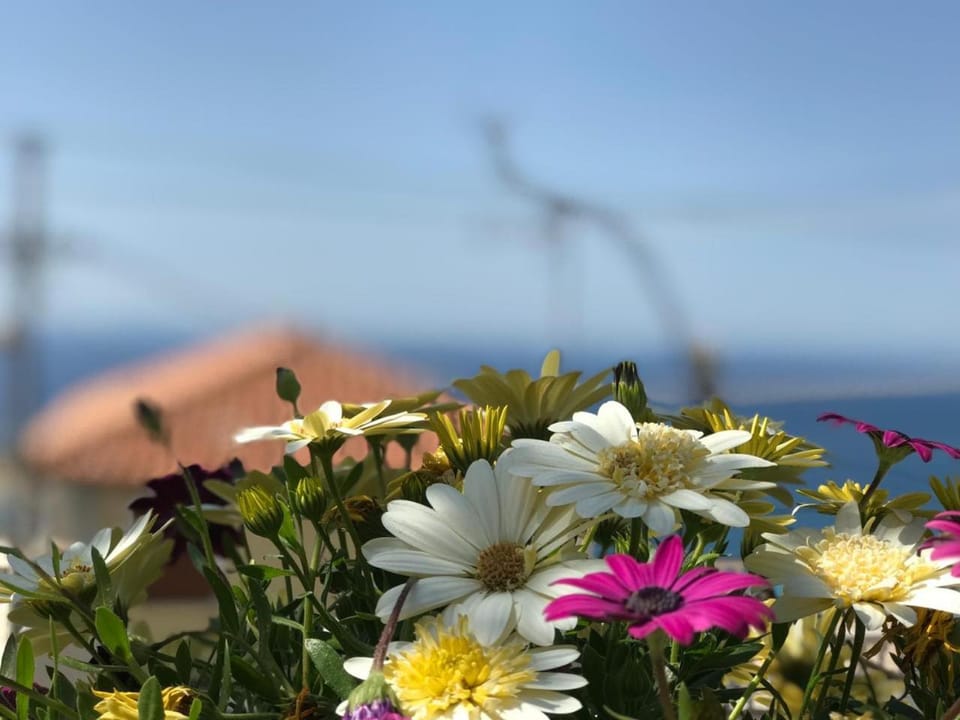 Spring, Summer