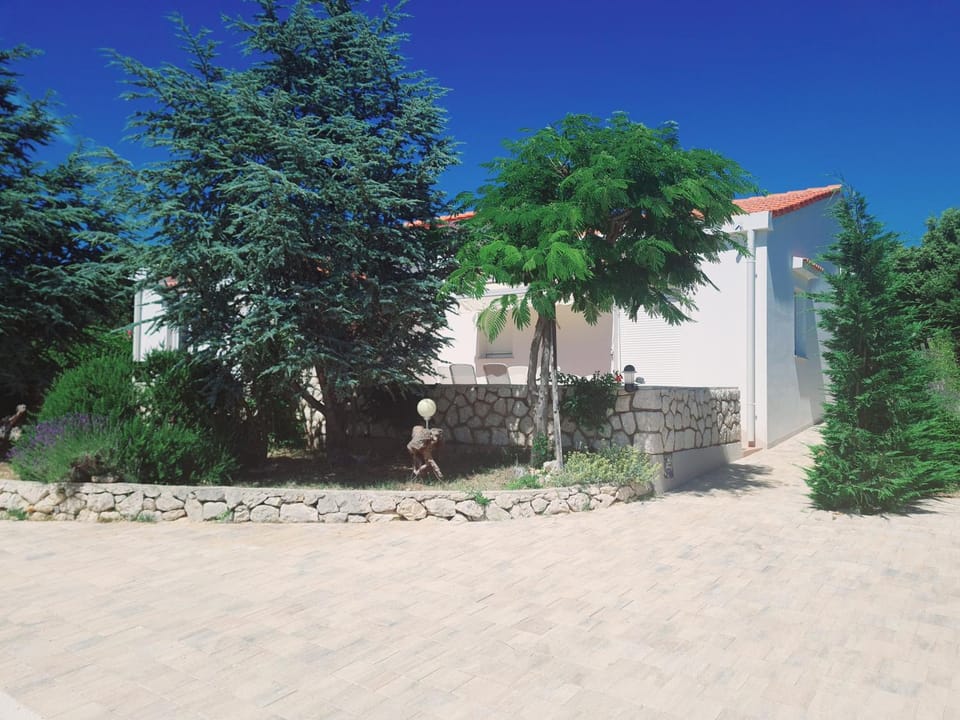 Property building, Patio, Facade/entrance, Garden