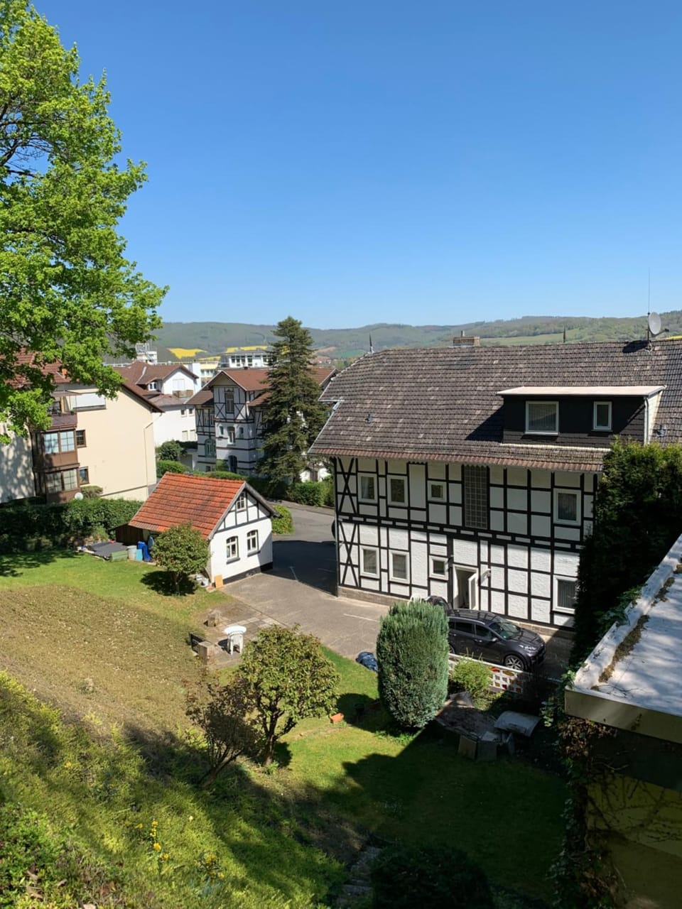 Garden view