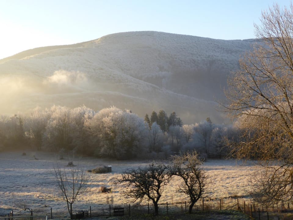 Garden view, Mountain view