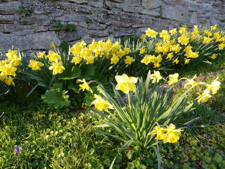 Spring