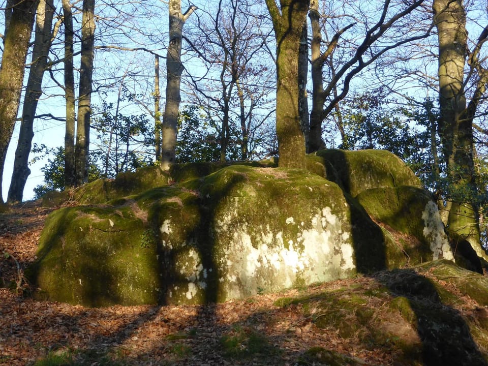 Natural landscape