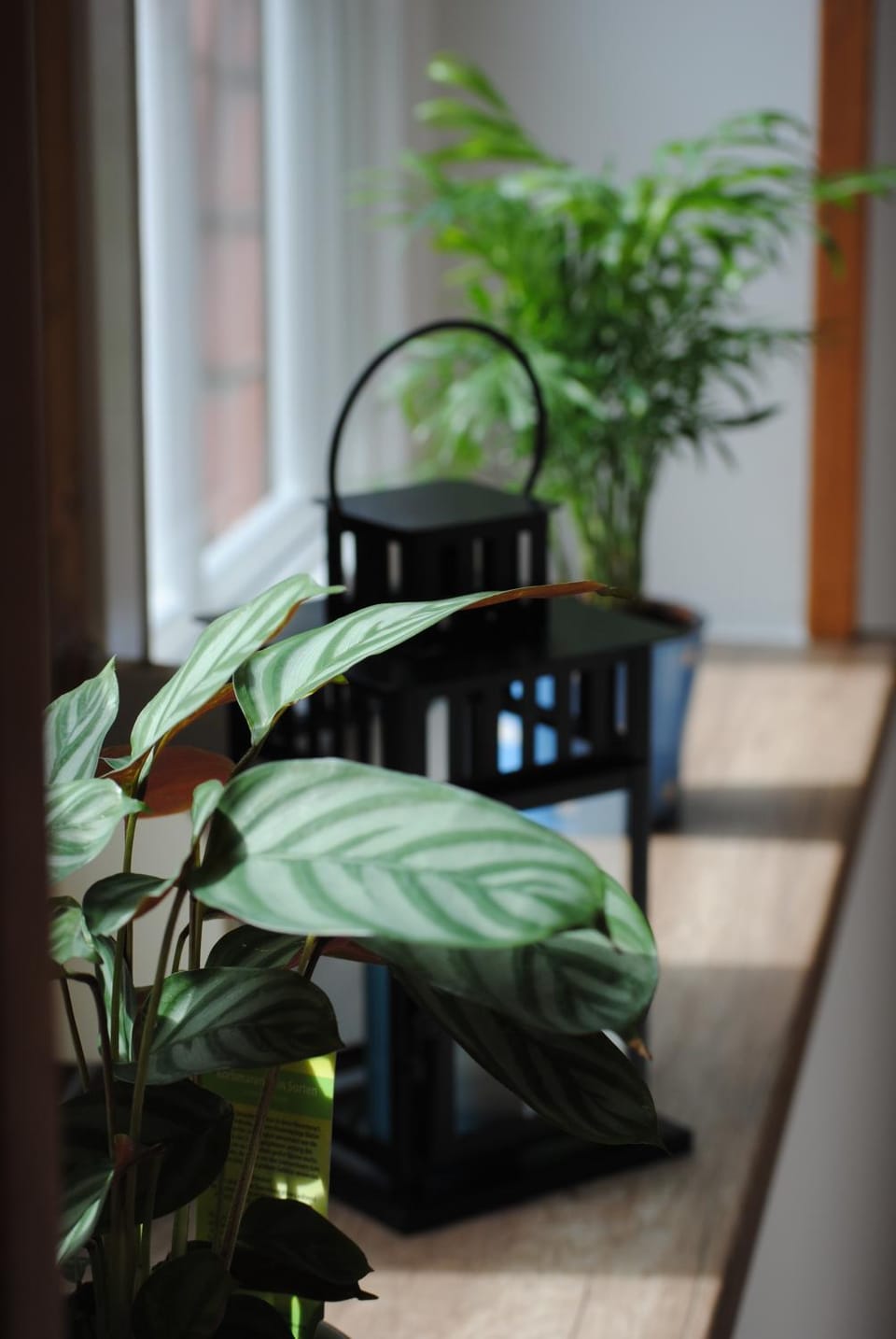 Living room, Decorative detail