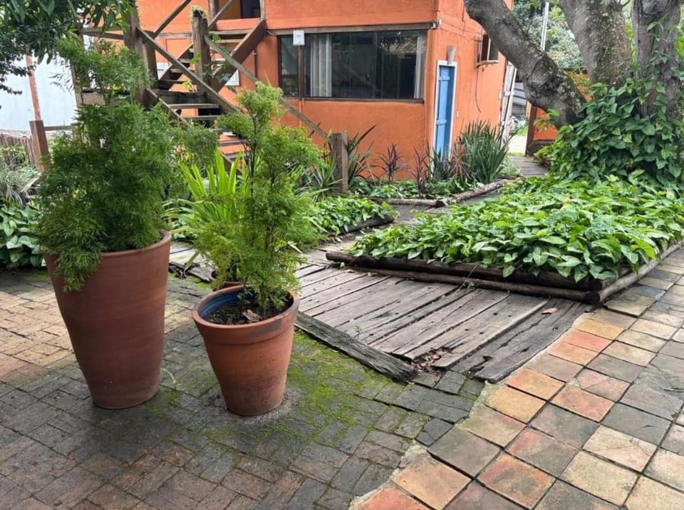 Property building, Garden, Garden view