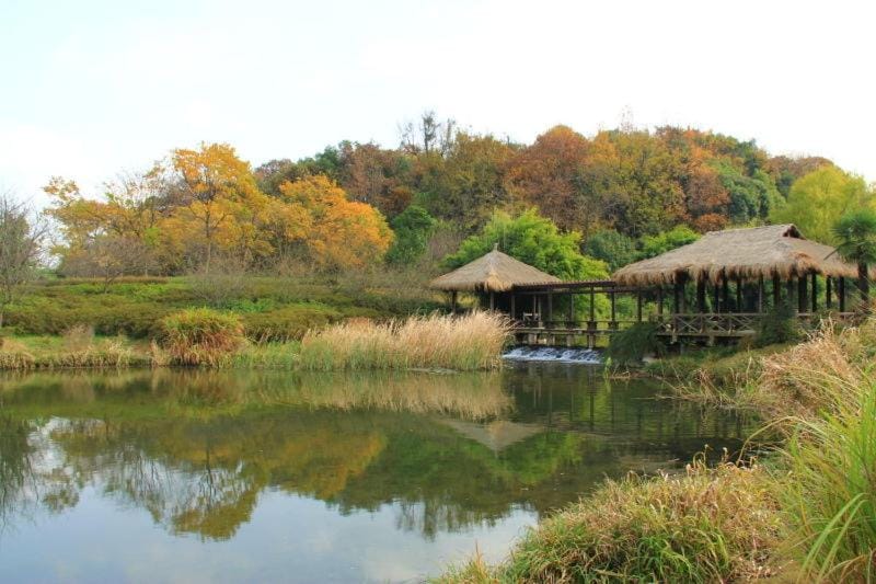 Lake view