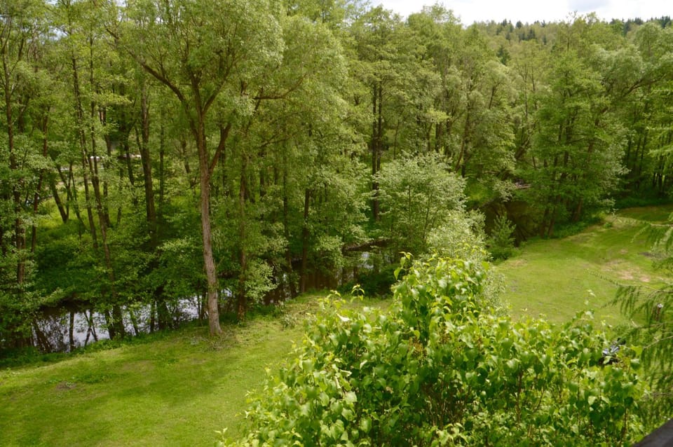 Day, Summer, On site, Garden view, River view