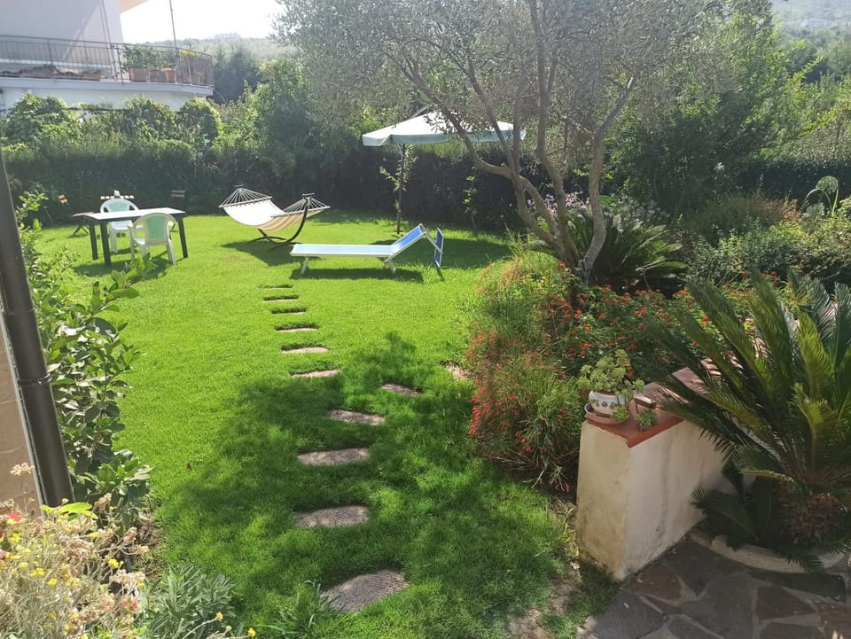 Natural landscape, Garden, Garden, sunbed