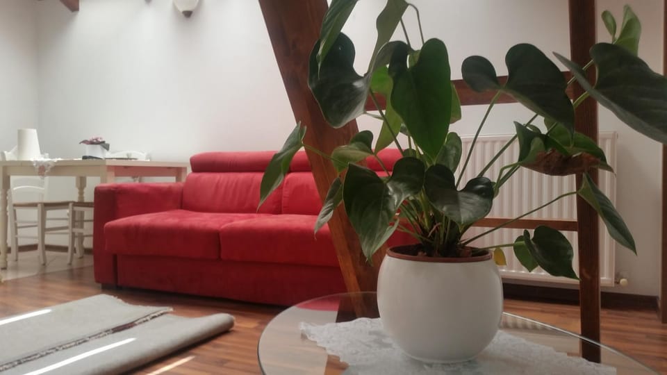 Apartments Vila Bovec Apartment in Bovec