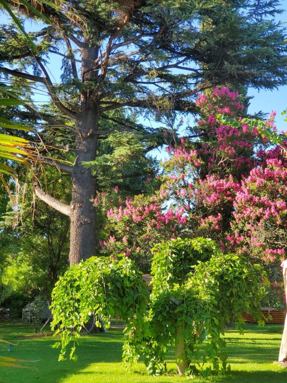 Off site, On site, Garden view