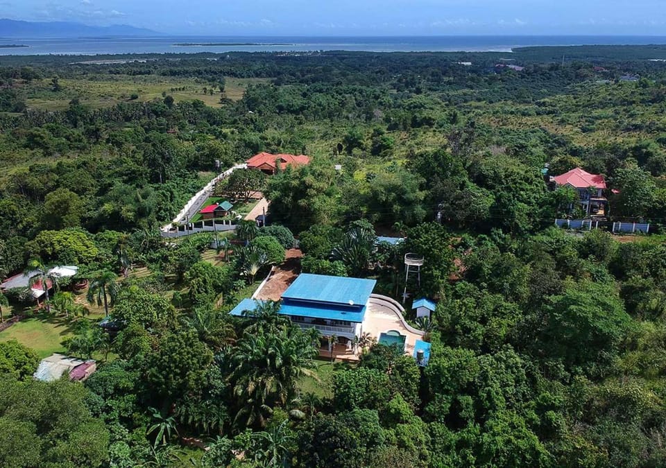 Bird's eye view, Garden view, Garden view, Landmark view, Pool view, Sea view, Area and facilities