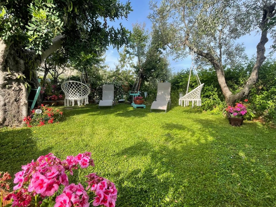 Spring, Garden