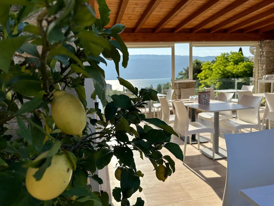 Balcony/Terrace, Balcony/Terrace