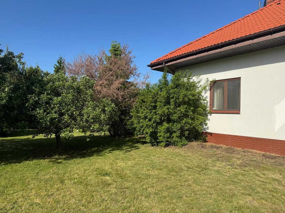 Garden, Garden view