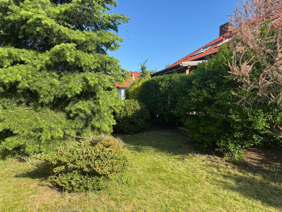 Garden, Garden view