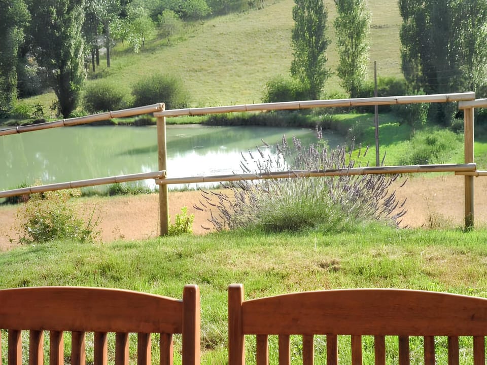 Lake view